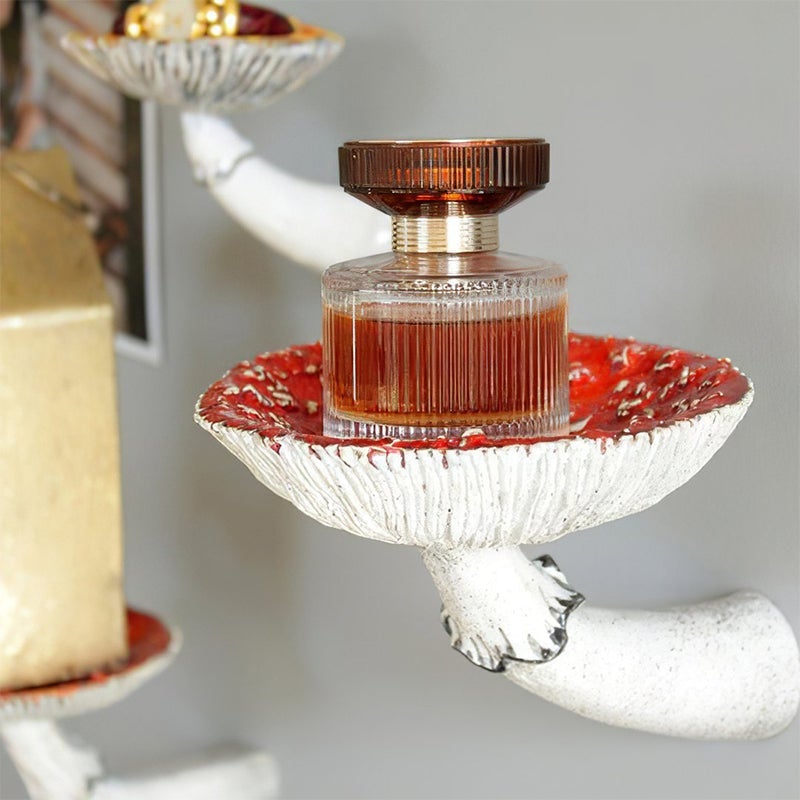 MushieShelf – Snodig Sopphengende Hylle med Unik Design