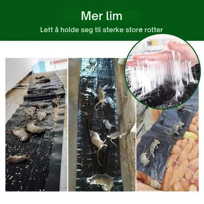 PestGuard - Klebrig felle med høy styrke for effektiv gnagerbekjempelse