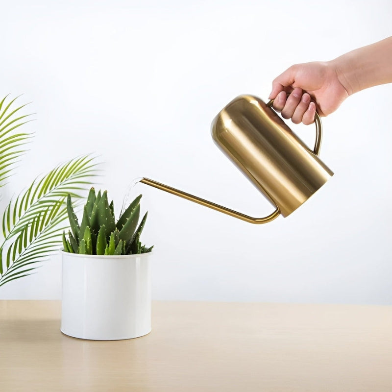 AquaSpout – 1.5L Vannkanne i Rustfritt Stål med Lang Tut