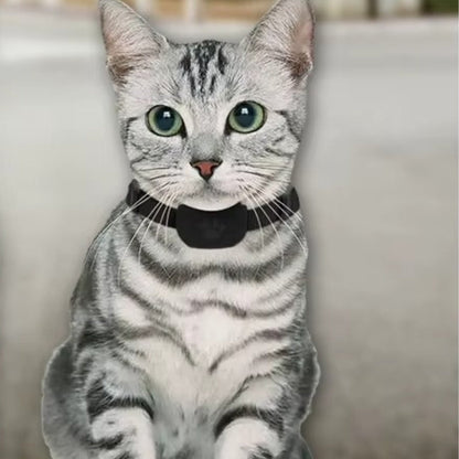 TrackEase – GPS Tracker for Kjæledyr med Justerbart Belte