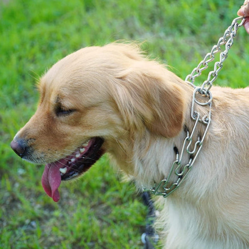 PawGuard – Justerbart hundehalsbånd med komforttupper