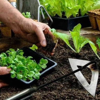 WeedMaster - Hageverktøy med hulknivblad for effektiv ugressfjerning