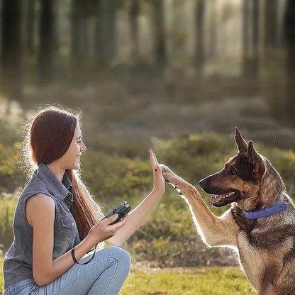 PawGuard – 2 i 1 Ultralyd Hundeskremmer med Lommelykt