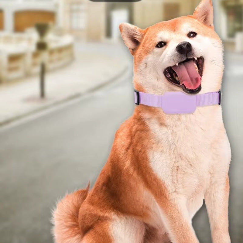 TrackEase – GPS Tracker for Kjæledyr med Justerbart Belte