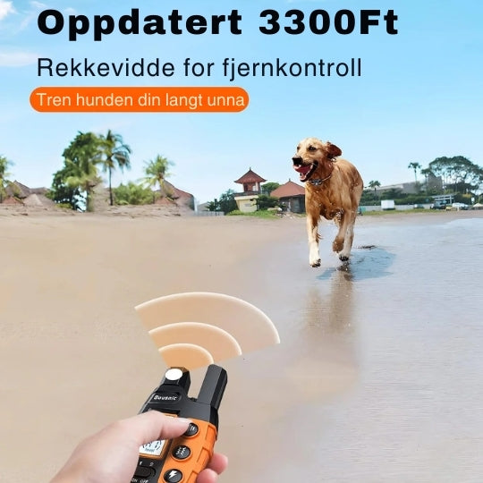 ProTrain - Fjernstyrt dressurhalsbånd med lang rekkevidde og justerbare moduser