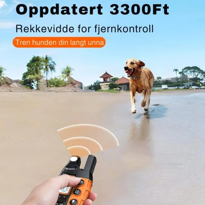 ProTrain - Fjernstyrt dressurhalsbånd med lang rekkevidde og justerbare moduser