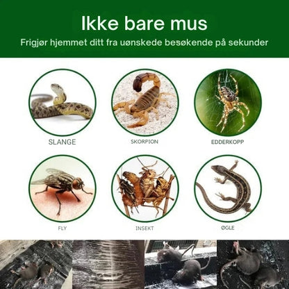 PestGuard - Klebrig felle med høy styrke for effektiv gnagerbekjempelse