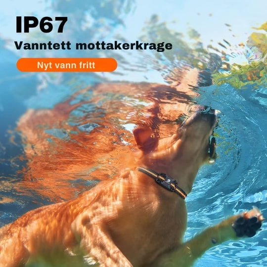 ProTrain - Fjernstyrt dressurhalsbånd med lang rekkevidde og justerbare moduser