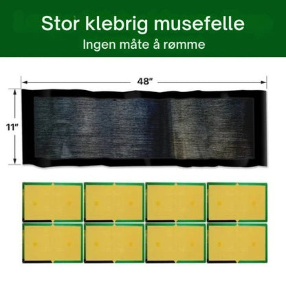 PestGuard - Klebrig felle med høy styrke for effektiv gnagerbekjempelse