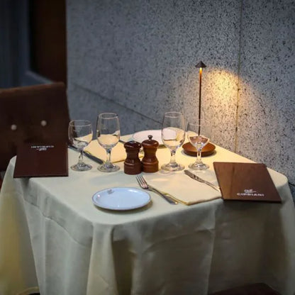 GlowSphere - Trådløst USB oppladbart LED-lys med berøringskontrolllysstyrke