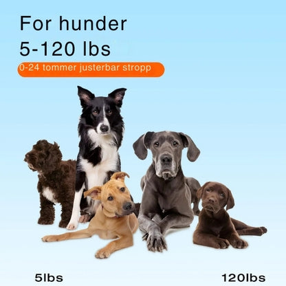 ProTrain - Fjernstyrt dressurhalsbånd med lang rekkevidde og justerbare moduser