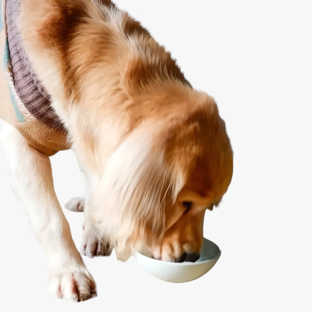 PawMunch – Dyreskål med saktematingsdesign og hevet indre mønster