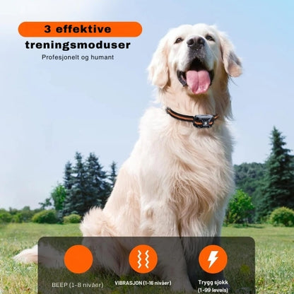 ProTrain - Fjernstyrt dressurhalsbånd med lang rekkevidde og justerbare moduser