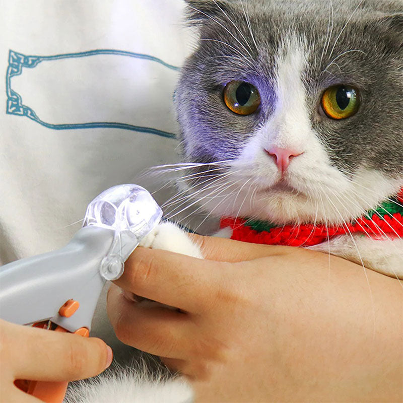 PawTrim  -Hundeklipper med sensorteknologi og ergonomisk design