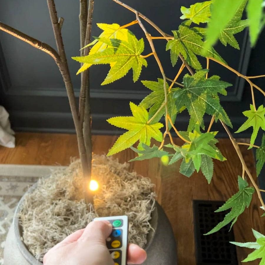 VivaBeam - LED-projektorlampe med flere retninger med fjernkontroll