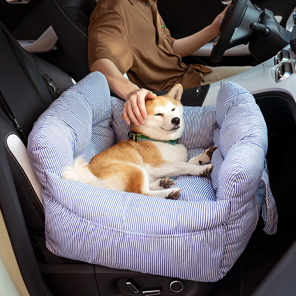 CozyCar - myk og sikker hundekurv for alle eventyr