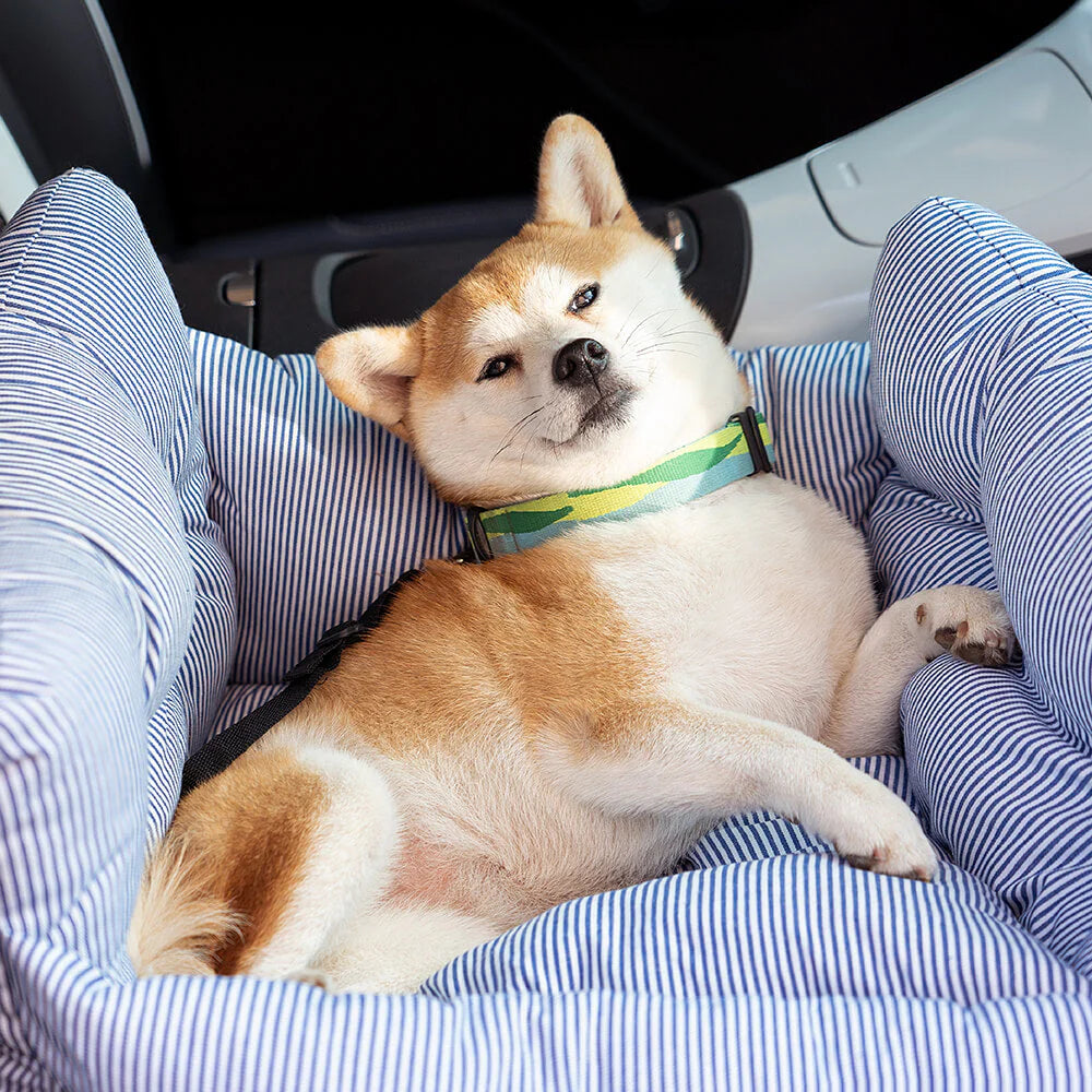 CozyCar - myk og sikker hundekurv for alle eventyr