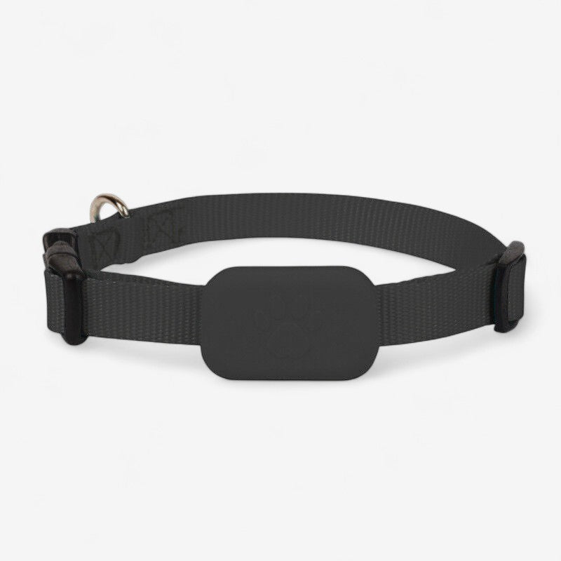TrackEase – GPS Tracker for Kjæledyr med Justerbart Belte