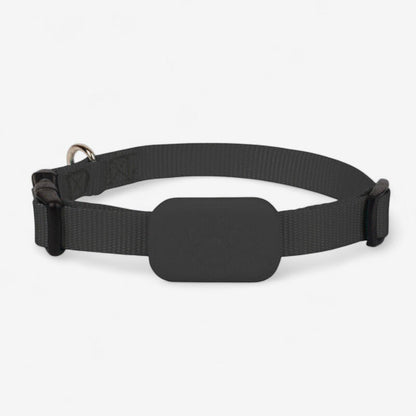 TrackEase – GPS Tracker for Kjæledyr med Justerbart Belte