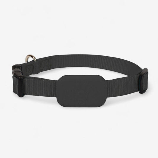 TrackEase – GPS Tracker for Kjæledyr med Justerbart Belte