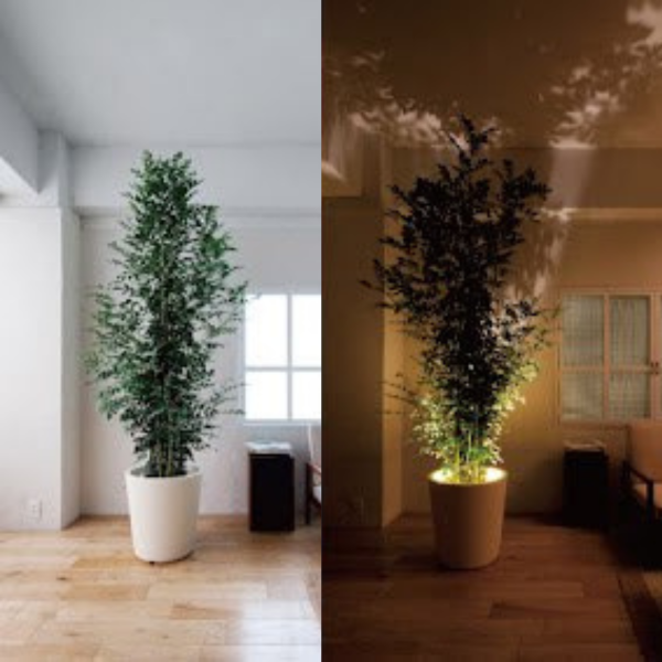 VivaBeam - LED-projektorlampe med flere retninger med fjernkontroll