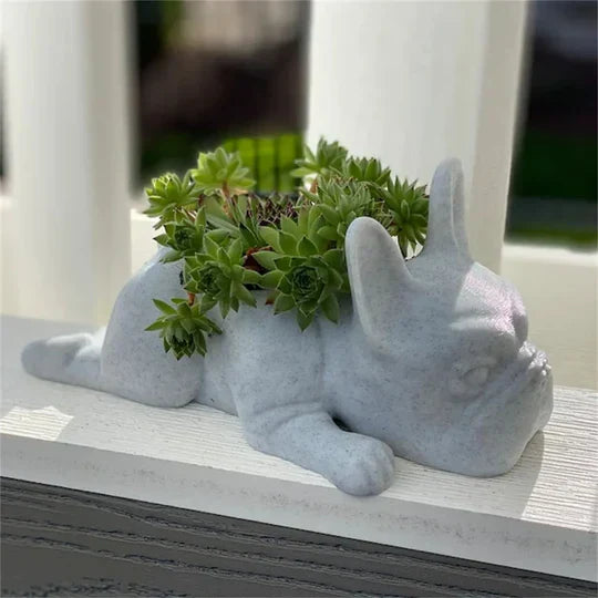 PupBloom - Et unikt hundedesign som lyser opp hjemmet ditt