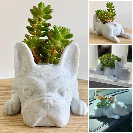 PupBloom - Et unikt hundedesign som lyser opp hjemmet ditt