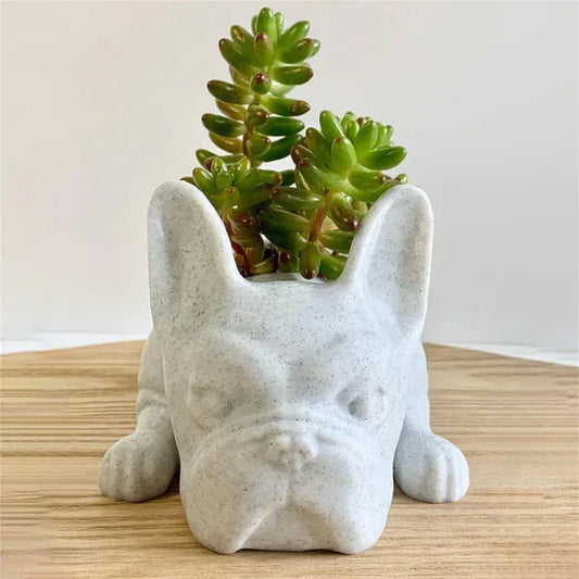 PupBloom - Et unikt hundedesign som lyser opp hjemmet ditt