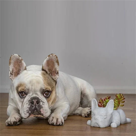 PupBloom - Et unikt hundedesign som lyser opp hjemmet ditt