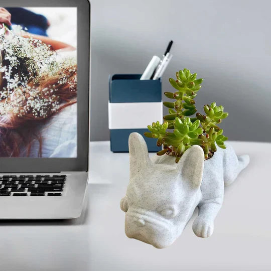 PupBloom - Et unikt hundedesign som lyser opp hjemmet ditt