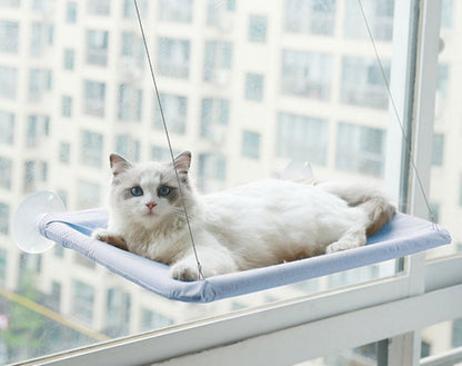 VistaPaws - Komfortabel hengekøye for katt i vinduet