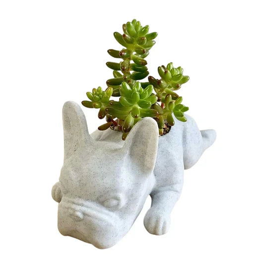 PupBloom - Et unikt hundedesign som lyser opp hjemmet ditt