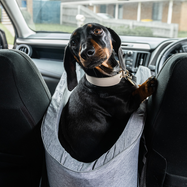 SafePup - Justerbart hundesete for trygg og komfortabel reise i bil