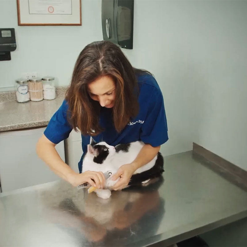 PawTrim  -Hundeklipper med sensorteknologi og ergonomisk design