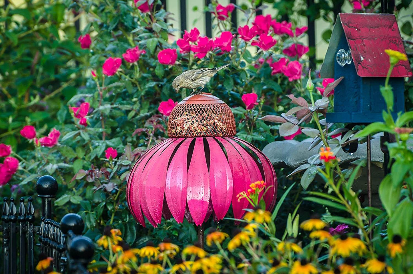 Aspen - Coneflower Bird Feeder med elegant blomsterdesign tiltrekker seg ville fugler