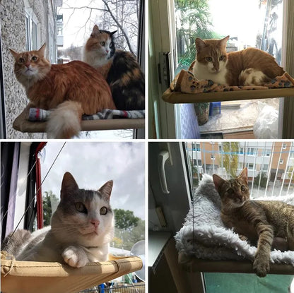 VistaPaws - Komfortabel hengekøye for katt i vinduet