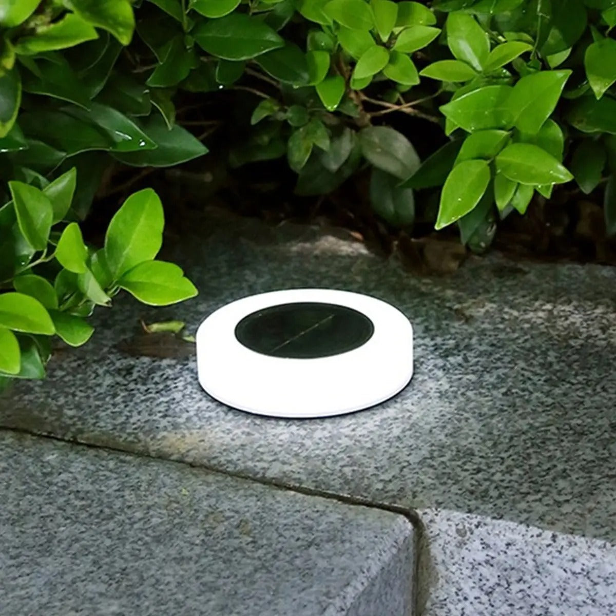 SolaraBeam - Stilige solcellelamper for uanstrengt eleganse i hagen